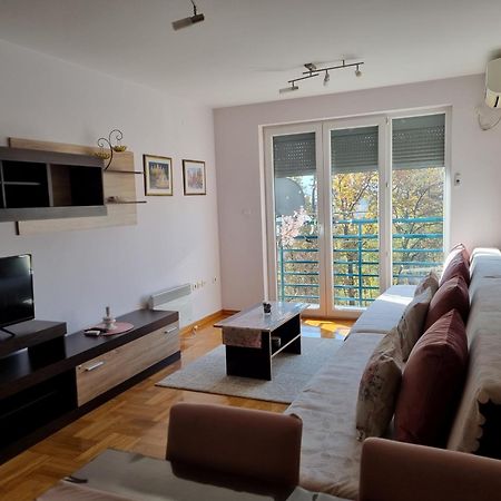 Studio Apartman Zvezdana Noc Vrnjačka Banja Exterior foto